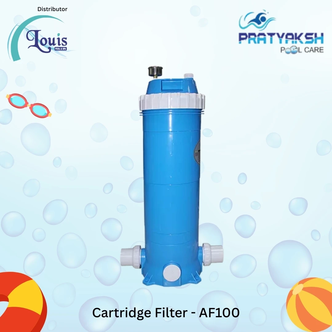 Cartridge Filter 100
