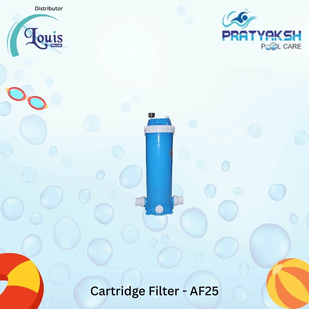 Cartridge Filter 25