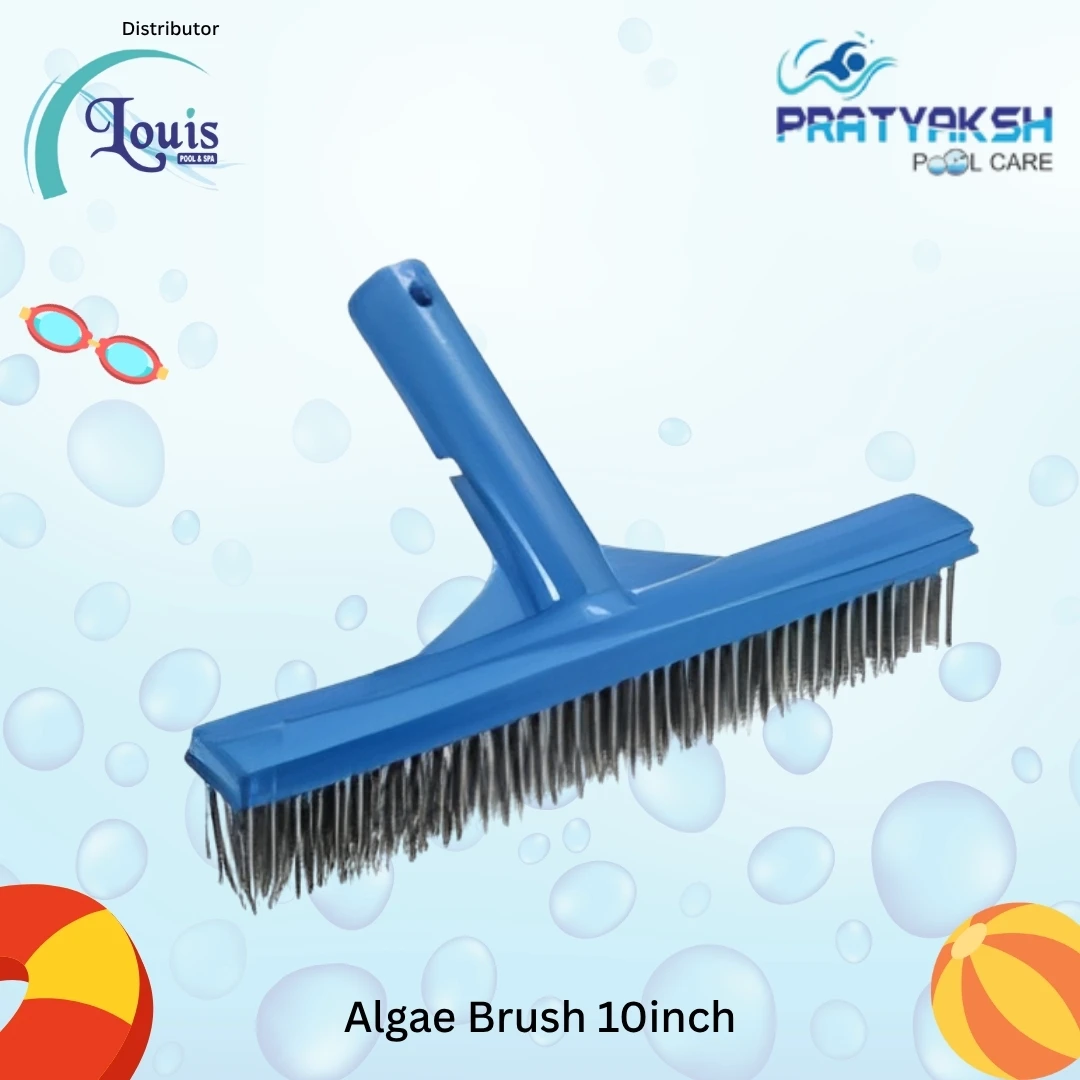 Algae Brush(10 Inch)